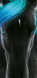 Black horse with teal mane wallpaper.