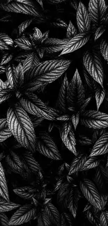 Black leaf pattern wallpaper with textured design.