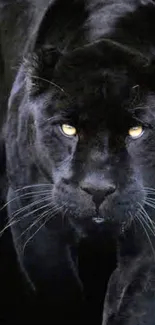 Black panther with piercing yellow eyes in dark shadows.
