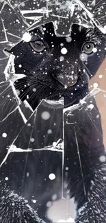 Black panther wallpaper with shattered glass and snowflakes.