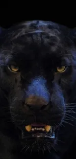 Majestic black panther with piercing eyes on a dark background.