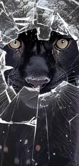 Black panther facing through cracked glass for mobile wallpaper.