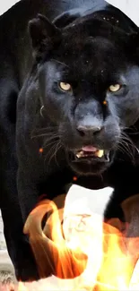 Fierce black panther with fiery backdrop on mobile wallpaper.