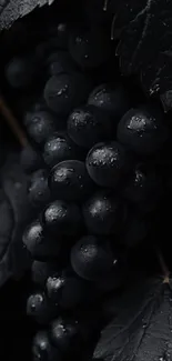 Black Produce Fruit Live Wallpaper