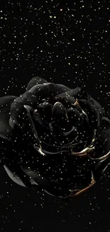 A black rose with gold specks on a starry night background.