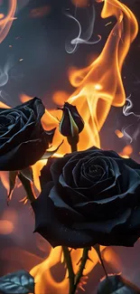 Black roses surrounded by vivid orange flames.
