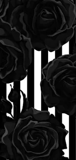 Black roses on bold striped background wallpaper.