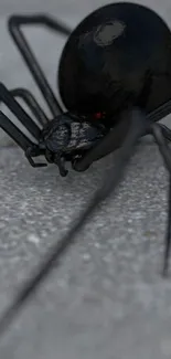 Realistic black spider on pavement wallpaper.