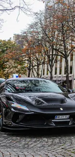 Black supercar parked on a picturesque city street with autumn trees.