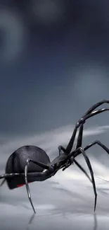 Close-up of black widow spider on a dark gray background.