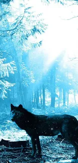 Black wolf stands in a mystical blue forest with sun rays filtering through trees.