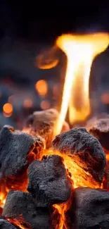 Blazing coals with vivid flames and intense heat.