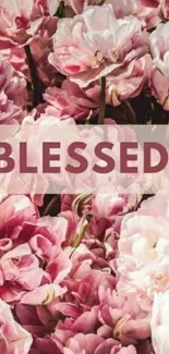 Pink floral wallpaper with 'Blessed' text.