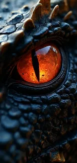 Blinking Orange Reptile Eye Live Wallpaper