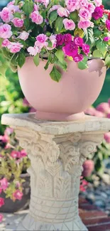 Vibrant pink and red flowers in a decorative pot.