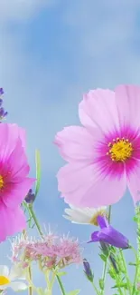 Vibrant mobile wallpaper with pink flowers against a clear blue sky.