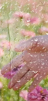 Hand touching pink flowers with raindrops on glass.