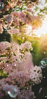 Pink flowers and sunlight with bubbles create a serene mobile wallpaper.