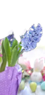 Purple hyacinth flower with pastel background.