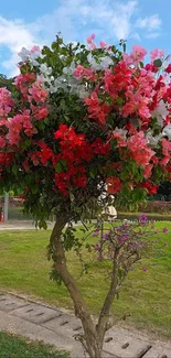 Vibrant tree with colorful blooms on a sunny day.