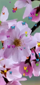 Cherry blossoms with colorful butterflies on a serene wallpaper.