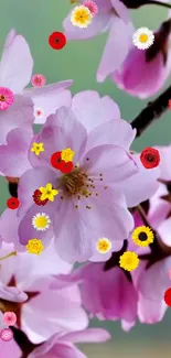 Pink cherry blossoms with vibrant mixed blooms wallpaper.