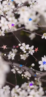 Delicate branches with white flowers and colorful stars wallpaper.