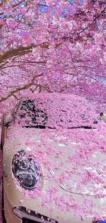 Car covered in pink cherry blossoms under vibrant cherry trees.