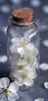 White blossoms in a glass jar on a gray background with petals.