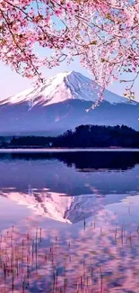 Cherry blossoms over mountain reflected in calm lake.