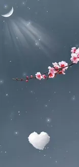 Cherry blossoms and moon on night sky wallpaper.