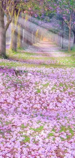 Beautiful path with pink petals and sunlight streaming through trees.