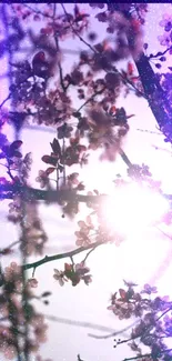 Sunlit blossoms with purple glow, perfect for a serene phone wallpaper.