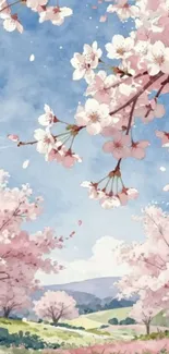 Cherry blossoms with a clear blue sky.