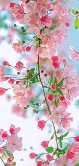 Vibrant pink cherry blossoms on branches against a serene sky.