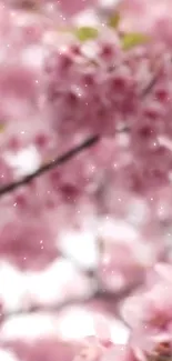 Blurry pink sakura blossoms with gentle snowfall effect.