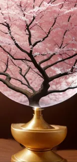 Globe with cherry blossom tree in pink hue.