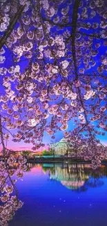 Cherry blossoms over a serene blue lake at sunset.