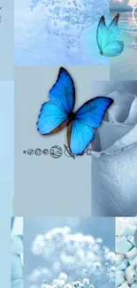 Blue aesthetic wallpaper with butterflies, flowers, and serene landscapes.