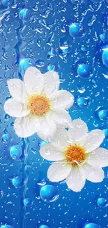 White flowers with blue water drop background mobile wallpaper.