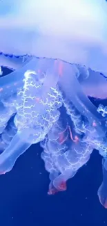 Bioluminescent blue jellyfish with glowing tentacles in deep ocean water.