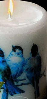 Candle with blue birds against a black background.