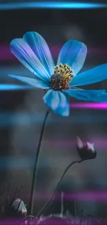 Blue flower in artistic neon glow wallpaper.