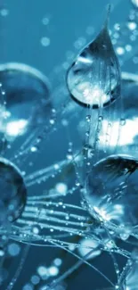 Close-up of blue water droplets in bokeh effect on a mobile wallpaper.