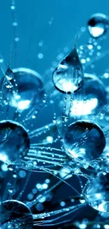 Blue bokeh wallpaper with sparkling water droplets