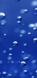 Vibrant blue wallpaper with floating bubbles.