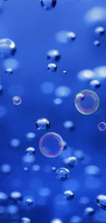 Mobile wallpaper with vibrant blue bubbles on screen.