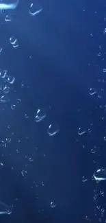 Blue bubbles ascending on a dark blue background wallpaper.