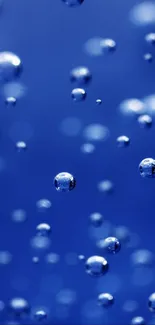 Floating blue bubbles on a serene blue background