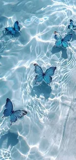 Blue butterflies hovering above serene rippling water surface.